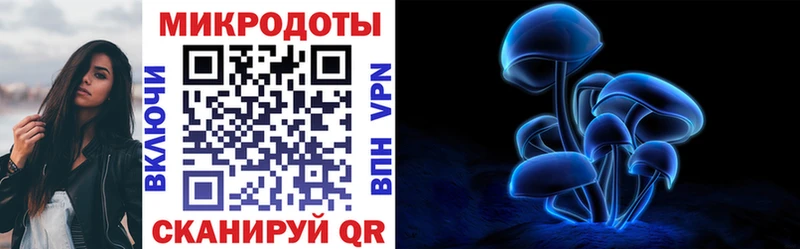 Псилоцибиновые грибы Cubensis  darknet телеграм  Гагарин  mega как зайти 